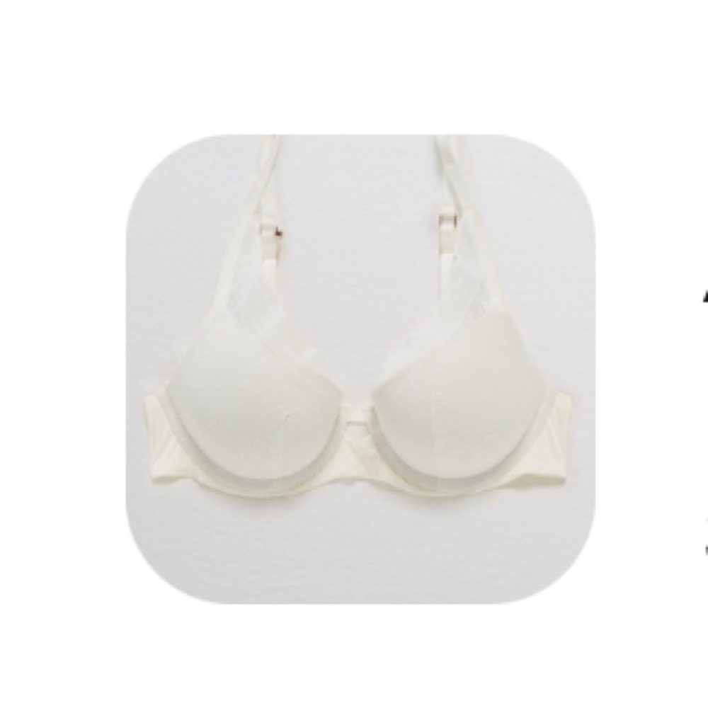 Aerie real power plunge push-up bra